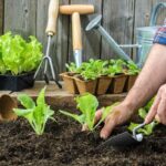 7 tips for green gardeners