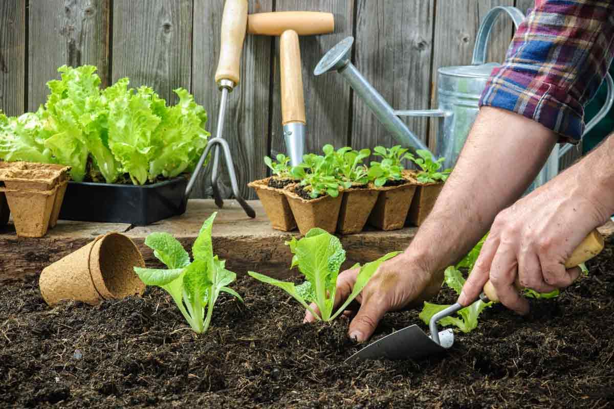7 tips for green gardeners
